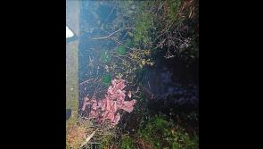 Gruesome discovery: Mystery over 'butchered animal' carcass by river in Limerick