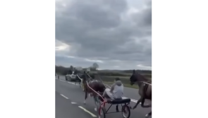 'The intimidation that was done to that man' - Tipperary sulky racing row rumbles on