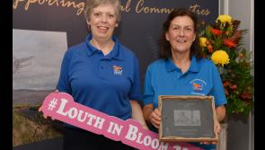 PHOTOS: Louth In Bloom Award winners