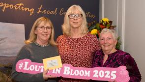 Louth In Bloom Awards celebrate community excellence