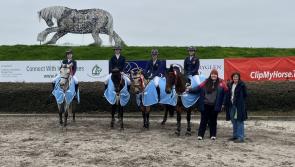 PICTURES | Longford students savour showjumping success  in Mullingar Equestrian Centre