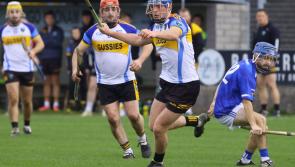 Brosna Gaels hold off second half Tullamore rally to claim third Offaly Junior Hurling title