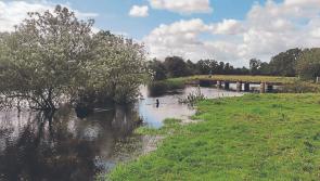 New website launched to support flood relief efforts along River Shannon