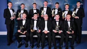 The Dazzling Dozen; a look back at the 12 Kildare players to make Team's of the Year 2025