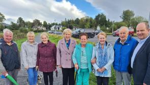 Local councillors  back Heather Humphreys in run up to presidential election 