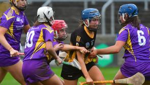 Laois Camogie's top two meet again as St Brigid's and Camross clash in County Final