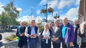 Laois councillors claim presidential election ' interfered with' by Government