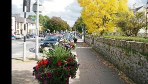 Volunteers&rsquo; hard work pays off as Limerick city earns coveted Tidy Towns Gold Medal