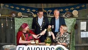 &lsquo;Warts and all&rsquo; inquiry into Flavours of Limerick festival which cost &euro;120,000