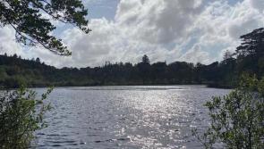 Donegal forest park among Ireland’s most visited Coillte sites
