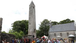 Laois council will upgrade the fence if it has the money