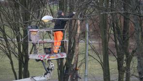 Costings needed to fix fallen Laois streetlight