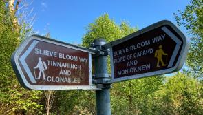 €152,000 for new Laois signs directing tourists to Slieve Bloom Mountains