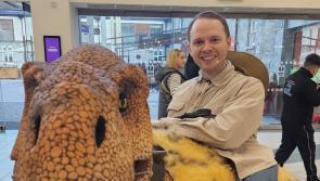 Jurrasic Takeover at MacDonagh Junction in Kilkenny!


