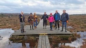 Abbeyleix Bog Project appeals for help tackling 'major problem'