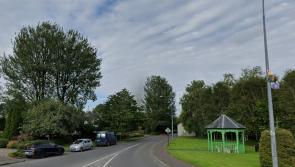 Tall trees at Leitrim playground to be surveyed over safety fears