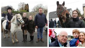 PICTURES: Annual horse fair draws crowds to County Limerick village