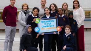 Limerick students focus on biodiversity in short video competition 