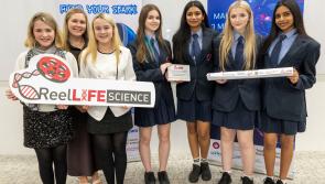 Carlow students win fourth place prize for their science music video 