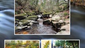 Offaly man's book on local river to be launched next week