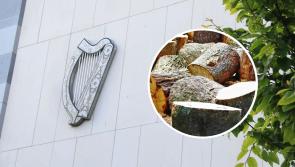 'Cart before the horse' - Limerick man in court over unauthorised timber-cutting business