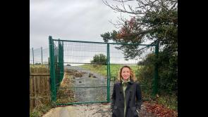 REVEALED: Location details for new playground in Limerick community