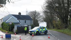'Dark days ahead'  - Tributes pour in for five young people killed in tragic Louth crash