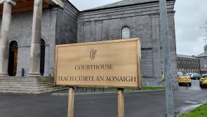 'Reprehensible': Tipperary man who threatened to 'torch' woman's home to avoid prison term