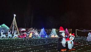 Carlow Christmas lights turned on in memory of teenager who passed away earlier this year