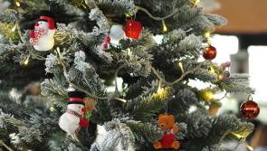 Tánaiste Simon Harris set to turn on Christmas lights at festive event in Clare village