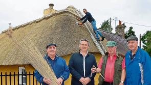 &lsquo;Reed&rsquo; all about it: Limerick house is thatched for over 300 years!