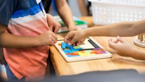 Leitrim councillor highlights pay inequality in special schools