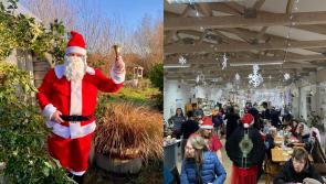 Celebrate a sustainable Christmas at Leitrim’s Organic Centre