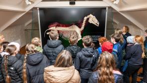 Tipperary horse country experience welcomes first primary school tour