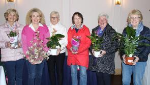 A festive night of creativity and community spirit in Offaly