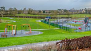 Limerick&rsquo;s Mungret Park reaches green milestone for Green Flag achievement 