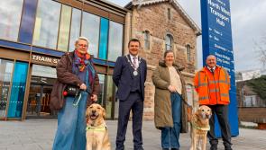 Guide Dogs NI celebrates 40 years in NI with 'Santa Paws' fundraiser in Derry