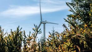 &lsquo;Community deserves to have their voice heard&rsquo;: Kilkenny TD calls for public meeting on wind farm
