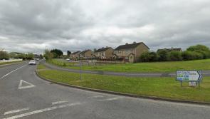 Legal action on 30 year old derelict Portlaoise housing site