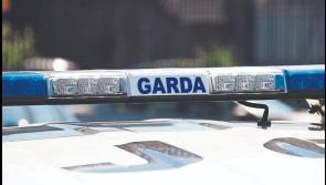 Garda&iacute; recover stolen tools in County Limerick theft and urge homeowners to mark valuables