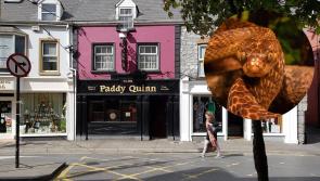 Hiss-teria in popular Ennis pub as snake discovered living in toilet