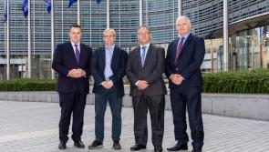 Fishing leaders first meeting with Taoiseach ahead of crucial EU quota talks
