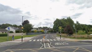 'Jagged stumps' a danger to Portlaoise schoolchildren