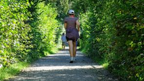 Renewed push for new parkrun to be set up in Portlaoise