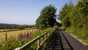 ‘Huge potential there’: Multiple Kilkenny greenway projects to progress in 2026
