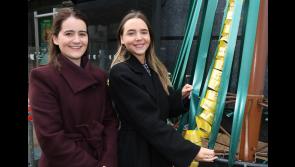 PICTURES: Launch of Rotary Club Remembrance Tree in Limerick city