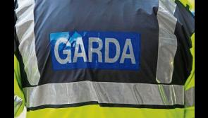 Gardai appeal for witnesses following thefts in Limerick city