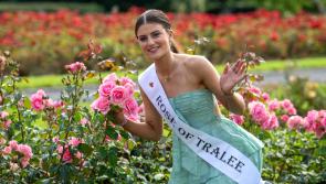 Laois Rose of Tralee Katelyn Cummins to hold Chernobyl trip fundraiser