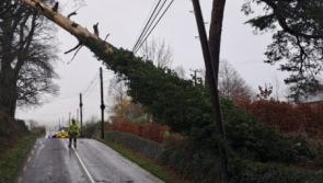 LATEST: Bridge closure, tree blocking road and trampoline on M9 in Kilkenny as Storm Bram lashes Ireland