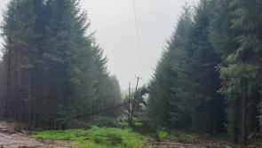 Storm Bram brings down electricity cables in Laois